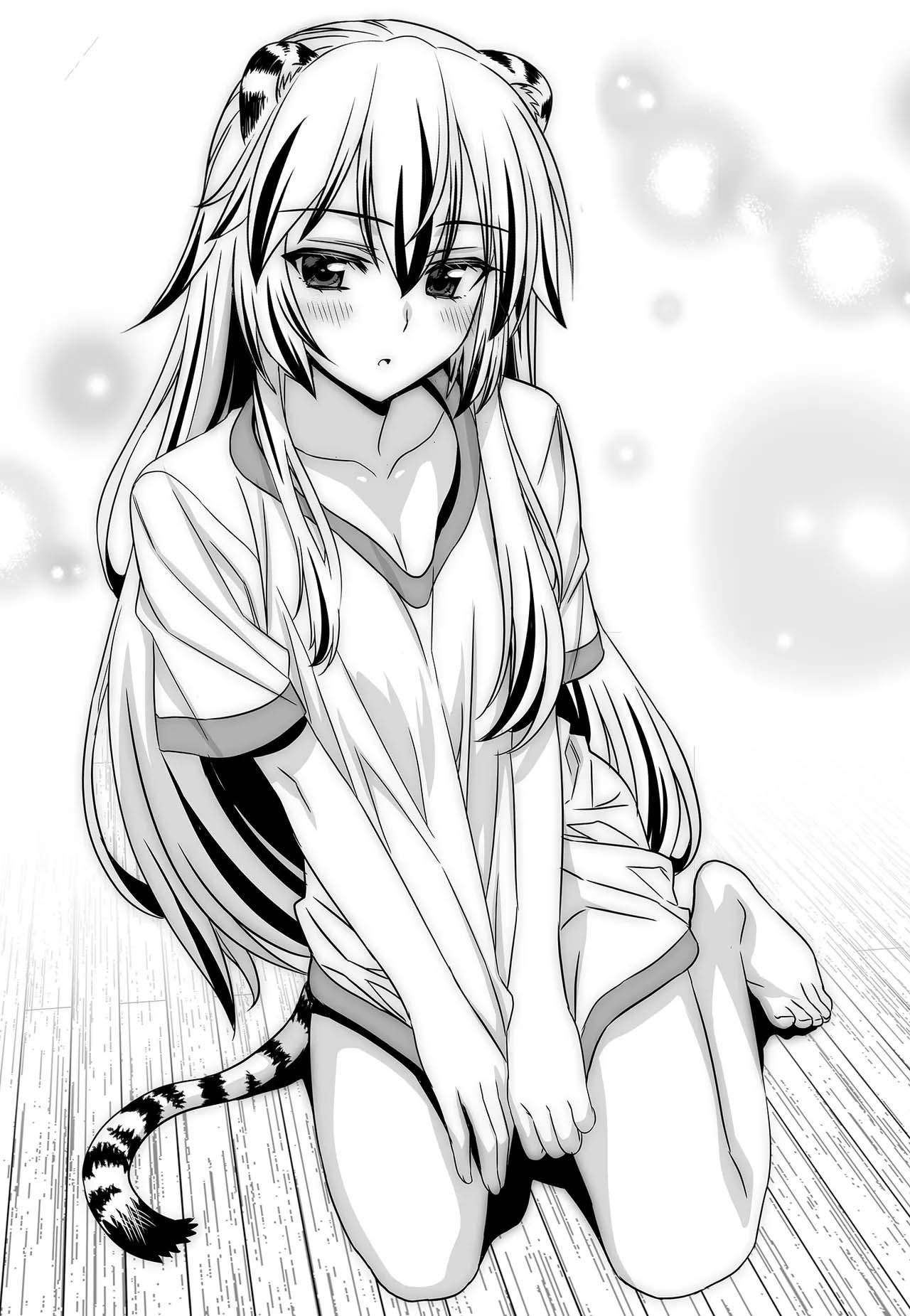 My Love Tiger chapter 262 page 3