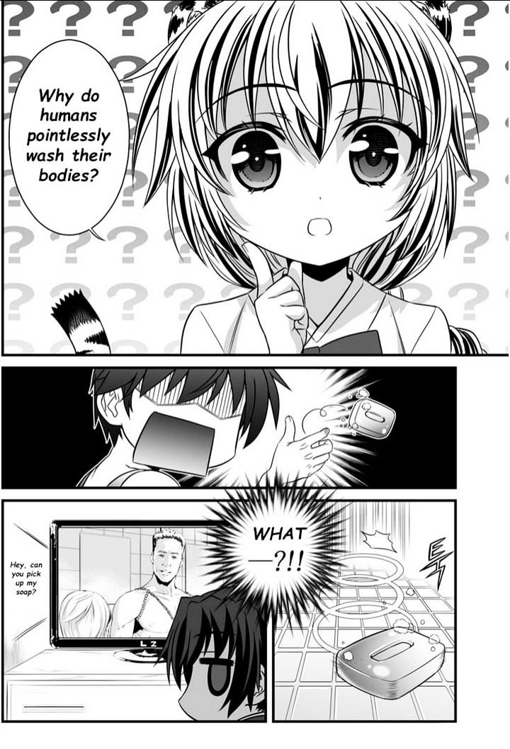 My Love Tiger chapter 6 page 14