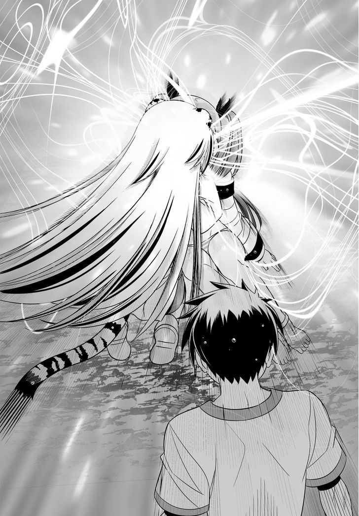 My Love Tiger chapter 68 page 4