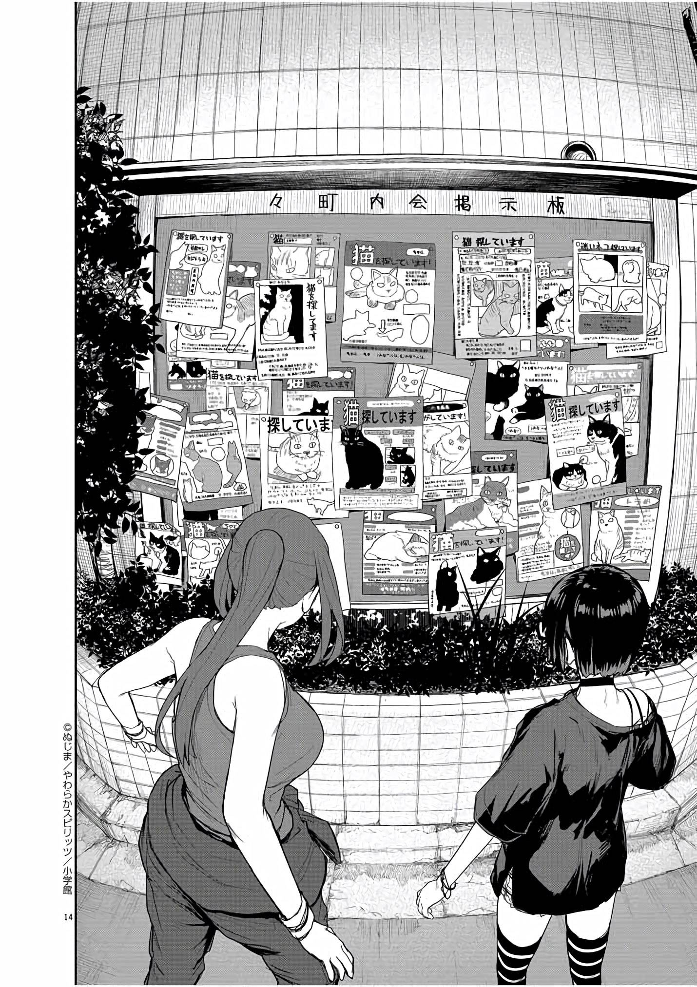 Mysteries, Maidens, And Mysterious Disappearances chapter 43 page 14