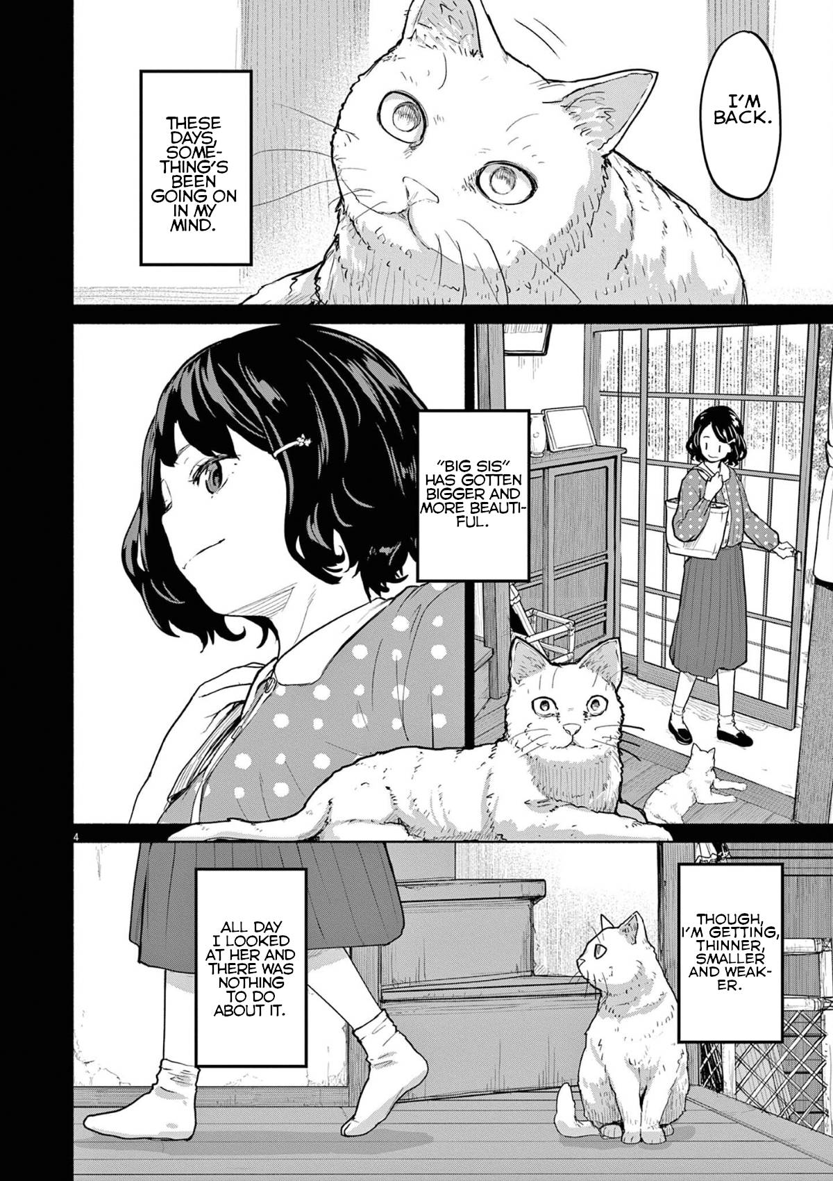 Mysteries, Maidens, And Mysterious Disappearances chapter 49 page 3