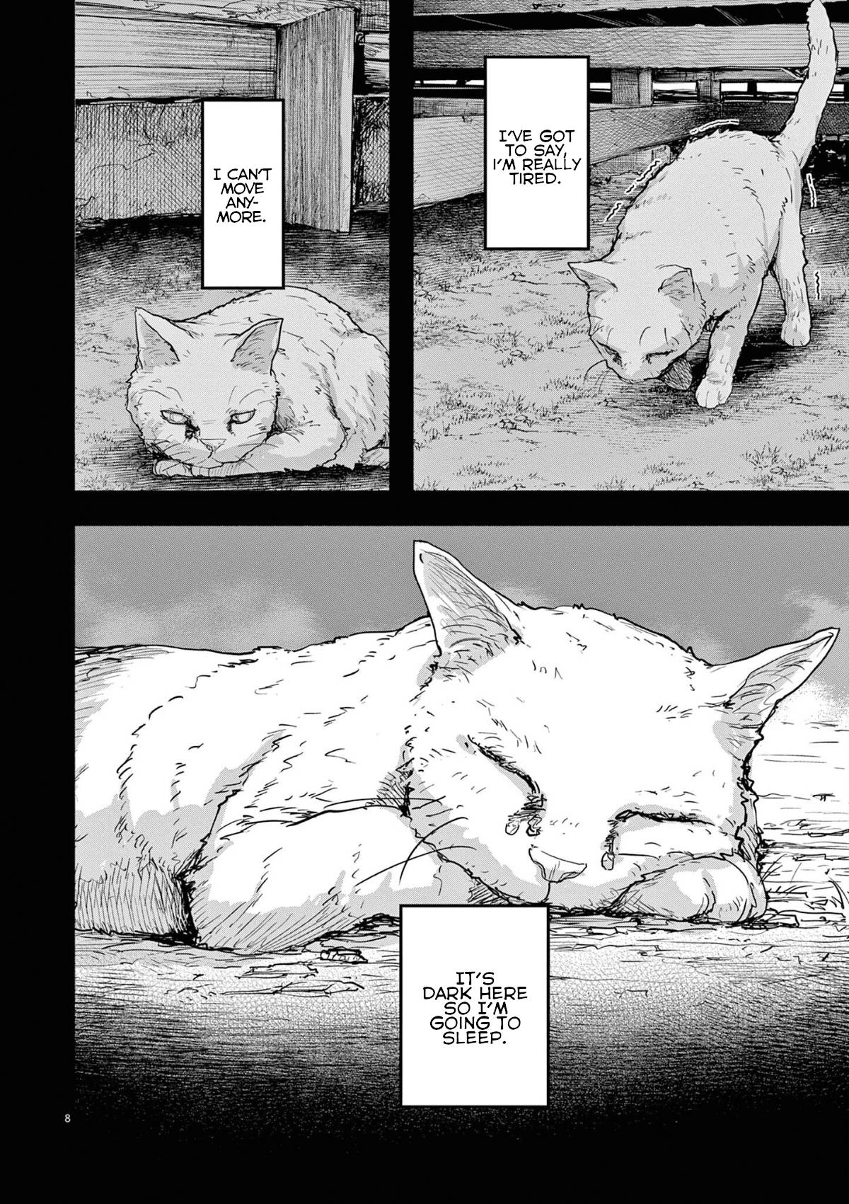 Mysteries, Maidens, And Mysterious Disappearances chapter 49 page 7