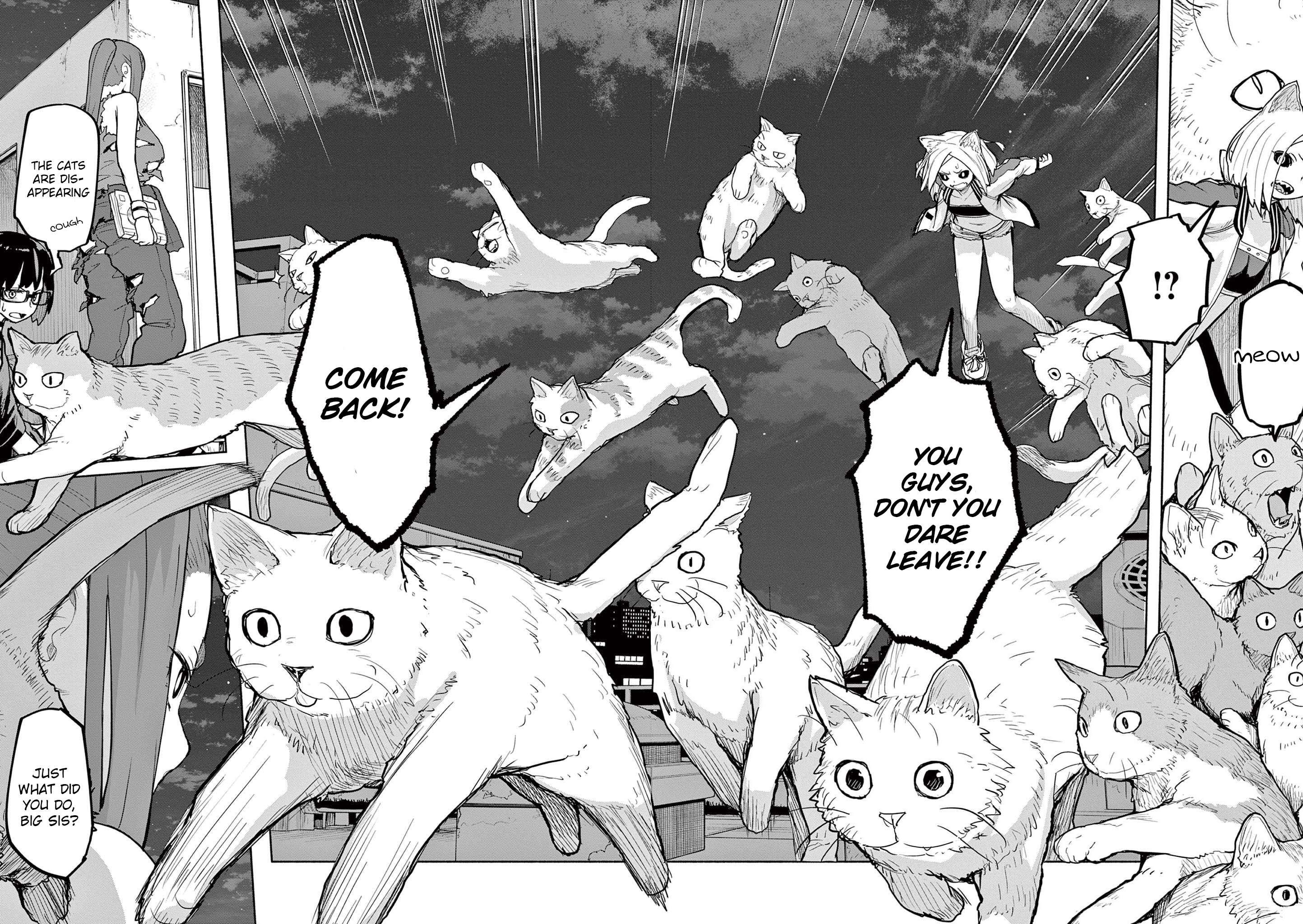 Mysteries, Maidens, And Mysterious Disappearances chapter 51 page 1