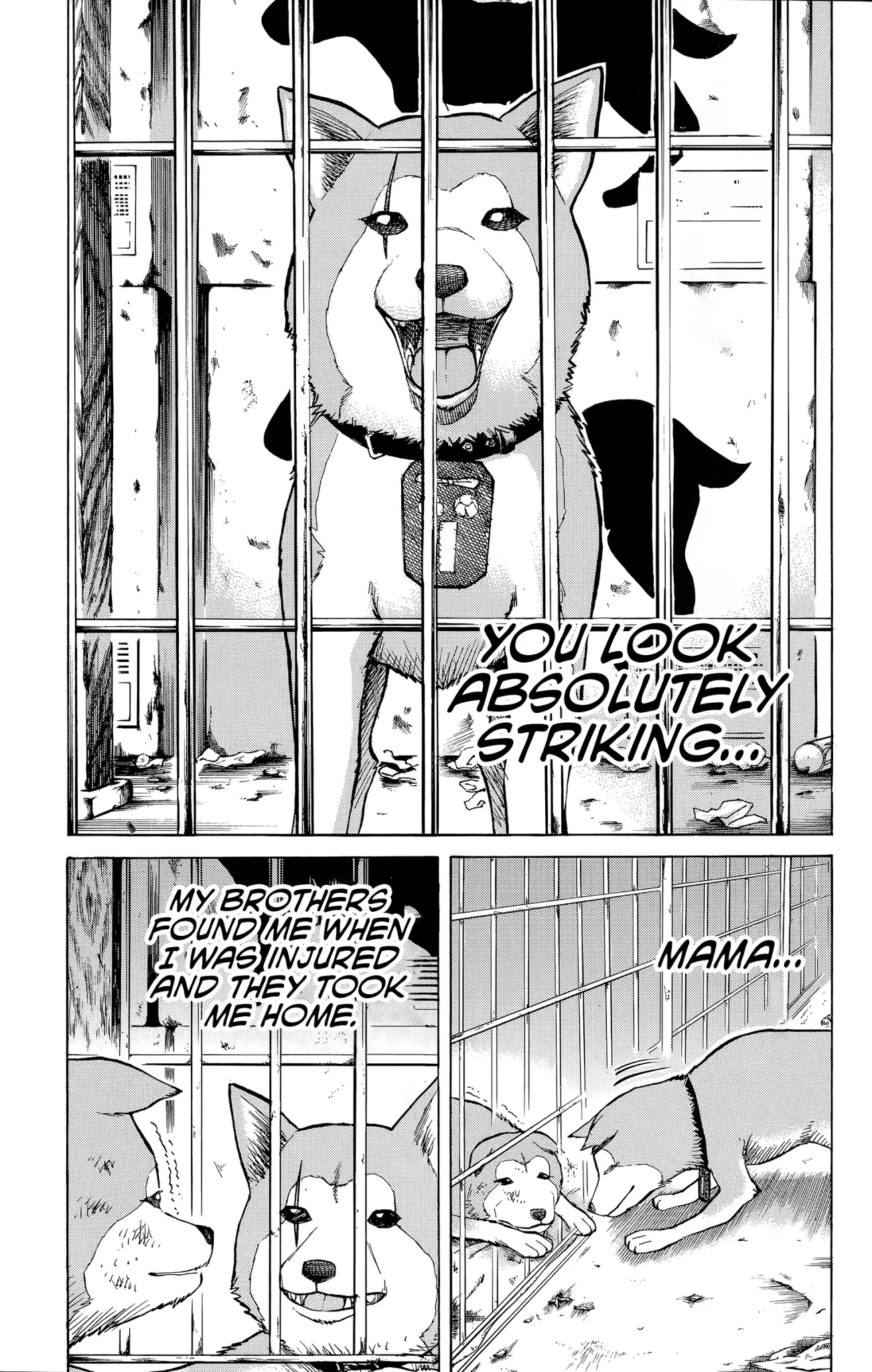 Nanba MG5 chapter 100 page 8