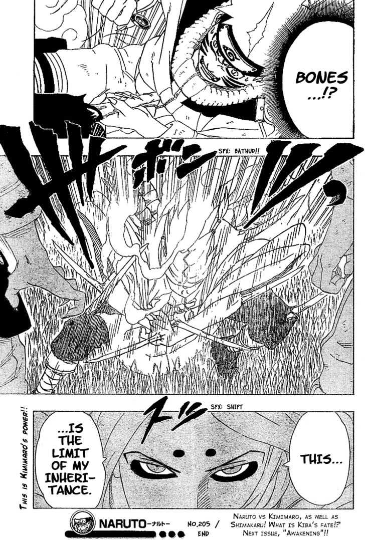 Naruto chapter 205 page 19