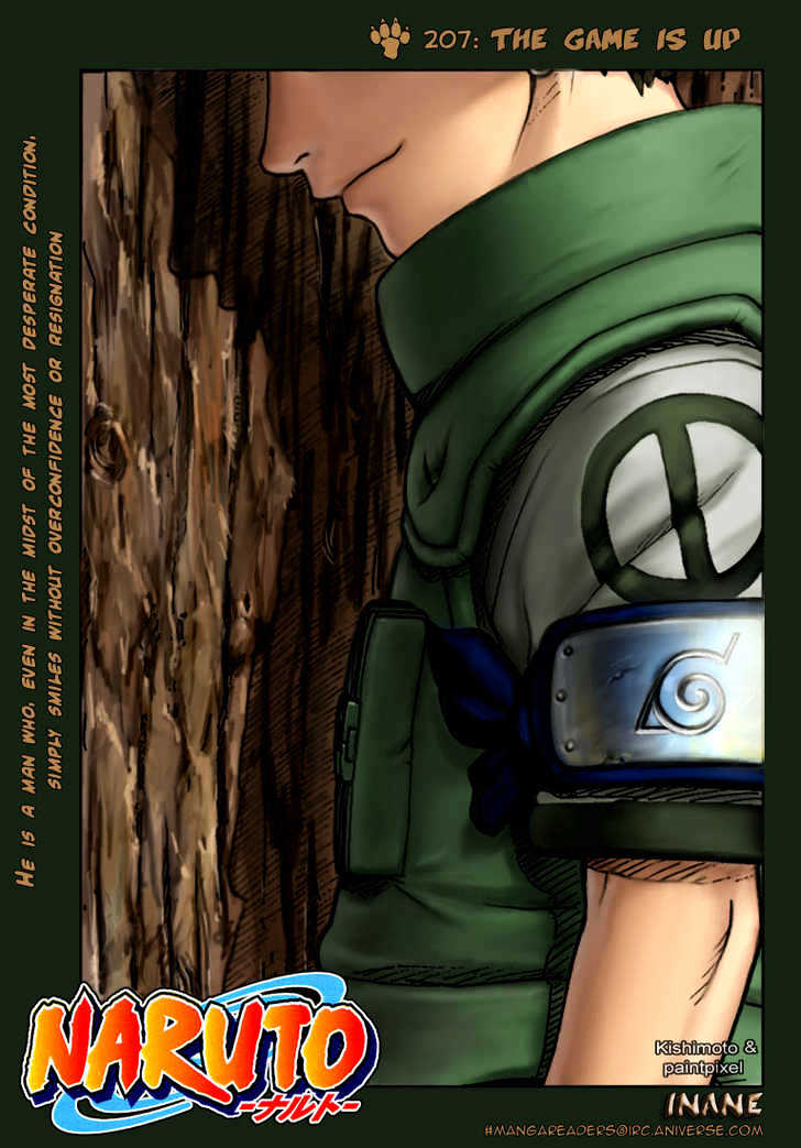 Naruto chapter 207 page 2