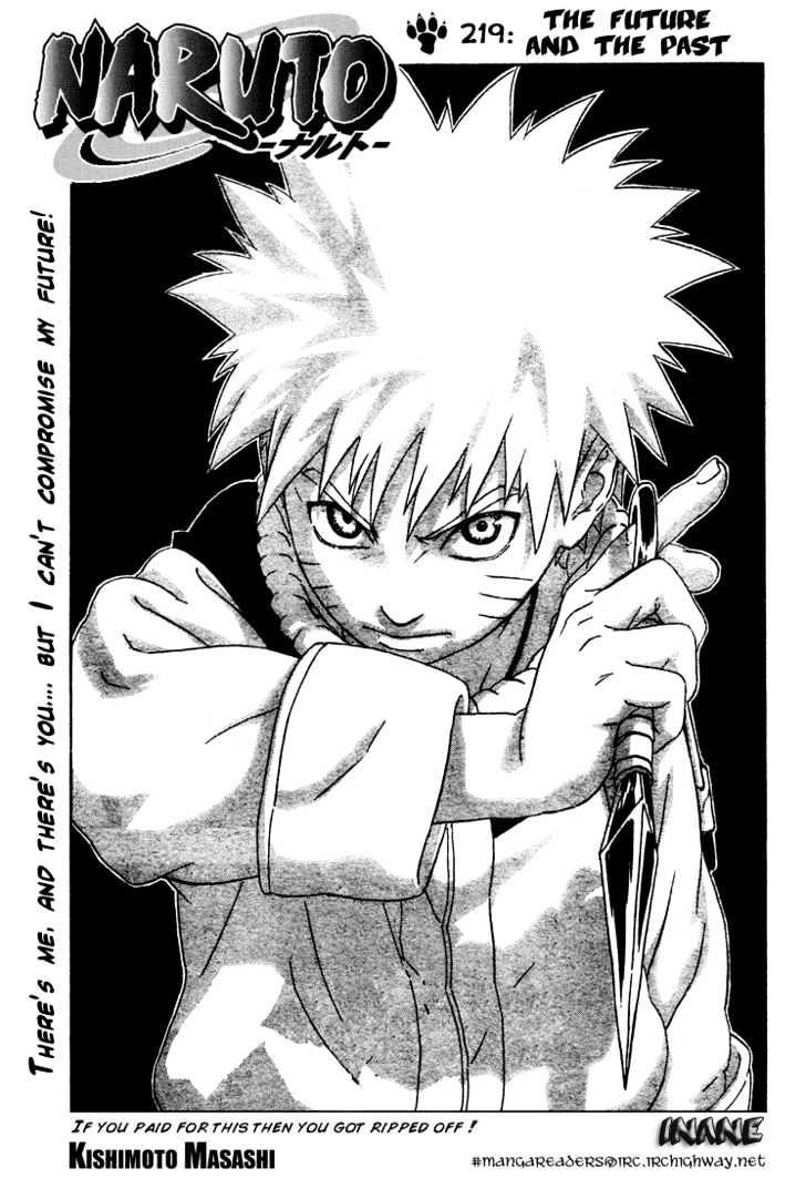 Naruto chapter 219 page 17