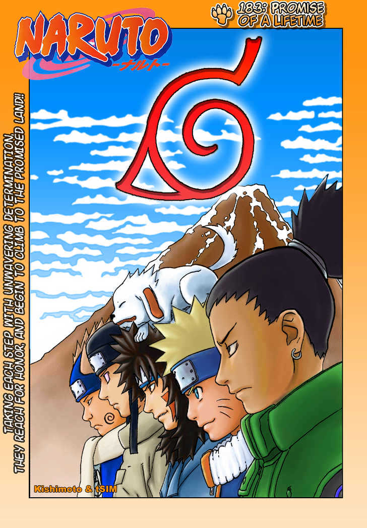 Naruto chapter 229 page 3