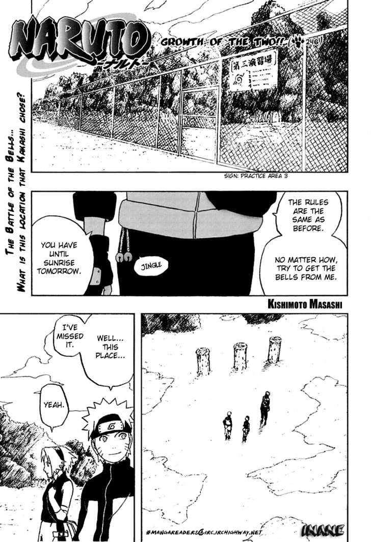 Naruto chapter 246 page 3