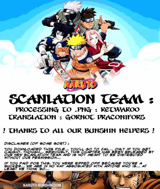 Naruto chapter 295 page 17