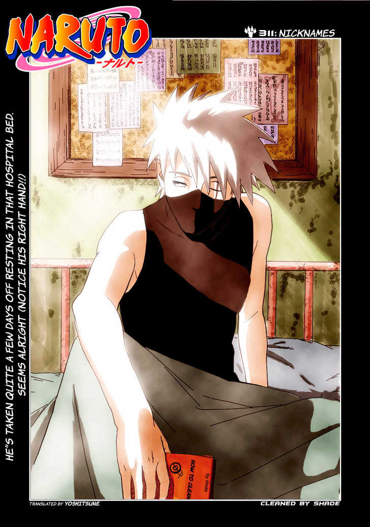 Naruto chapter 311 page 2