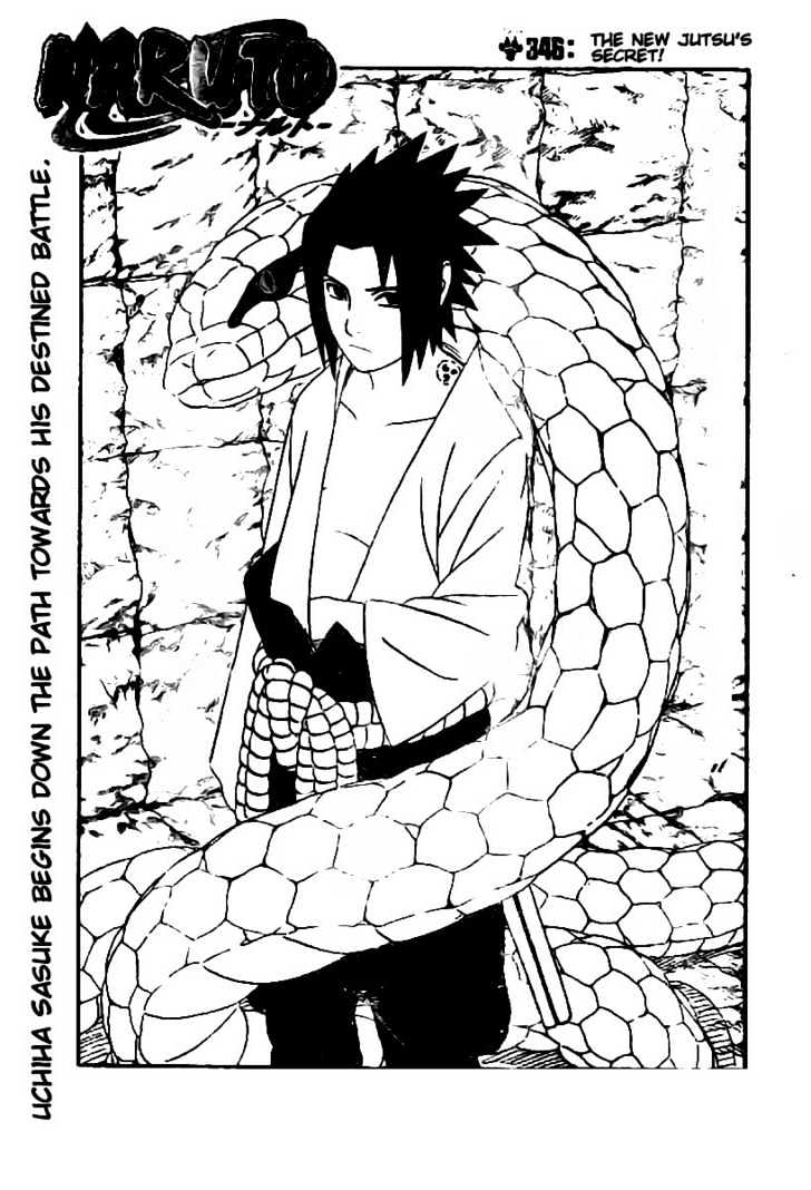 Naruto chapter 346 page 6