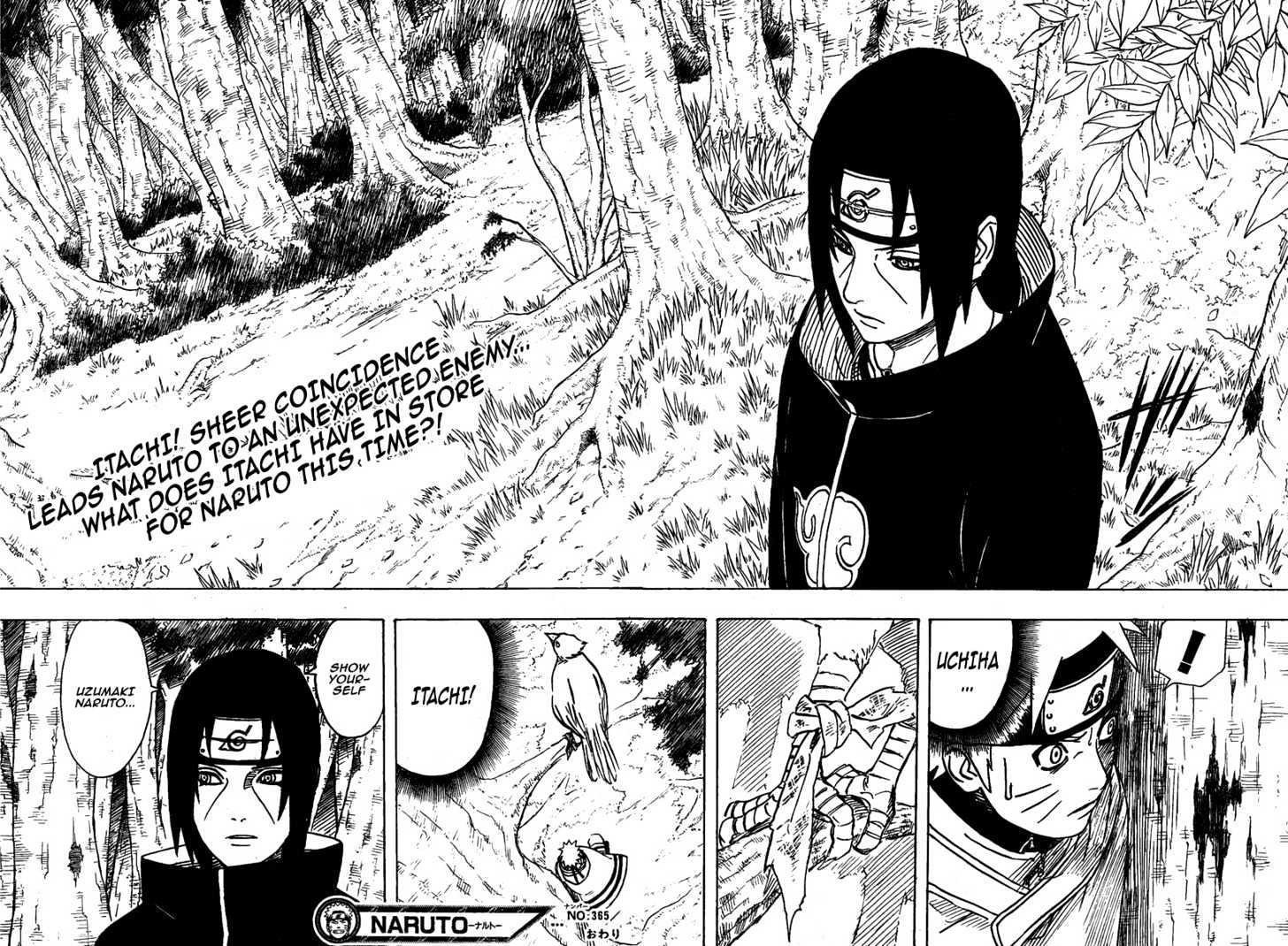 Naruto chapter 365 page 17