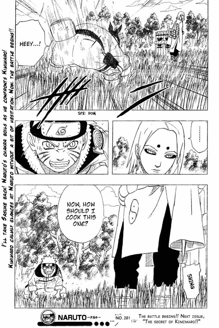 Naruto chapter 201 page 19