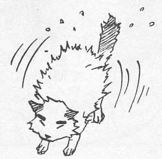 Naruto chapter 21 page 1