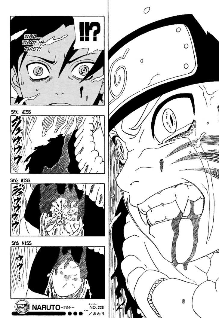 Naruto chapter 228 page 22