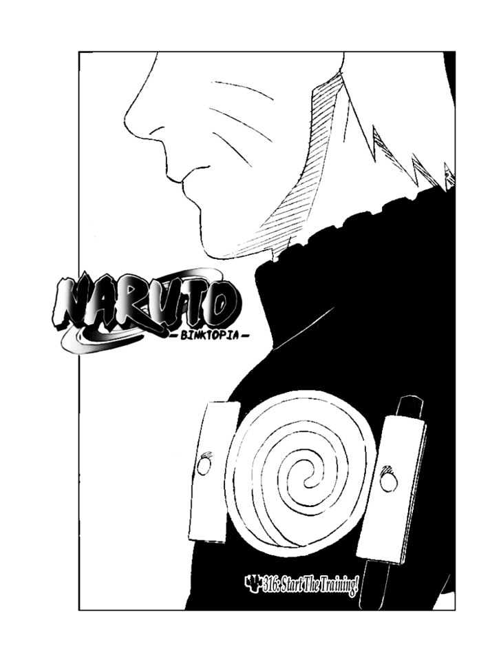 Naruto chapter 316 page 2