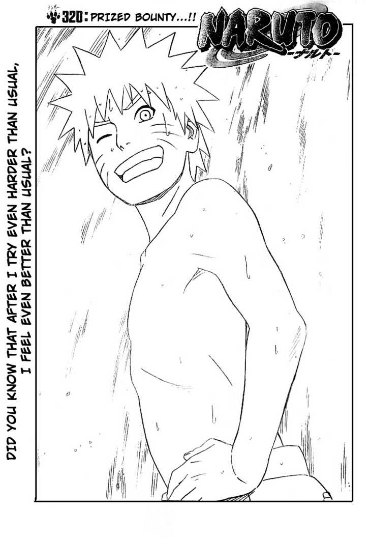 Naruto chapter 320 page 1
