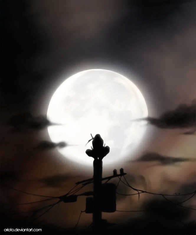 Naruto chapter 333 page 24