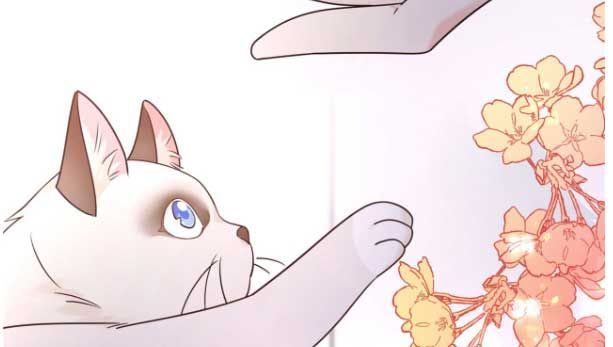 National School Prince Is A Girl chapter 296 page 33