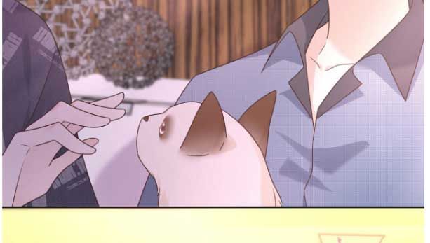 National School Prince Is A Girl chapter 296 page 56