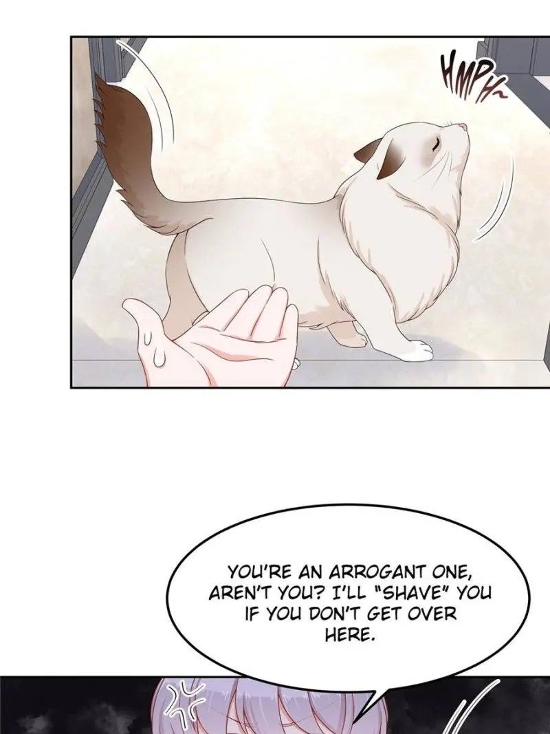 National School Prince Is A Girl chapter 51 page 26