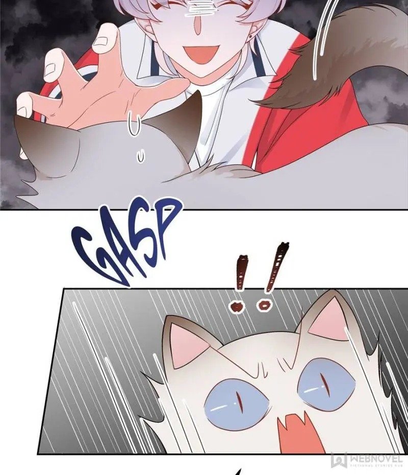 National School Prince Is A Girl chapter 51 page 27