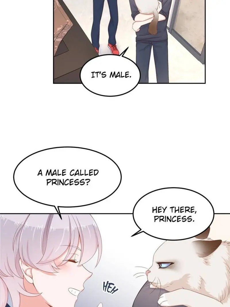 National School Prince Is A Girl chapter 51 page 35