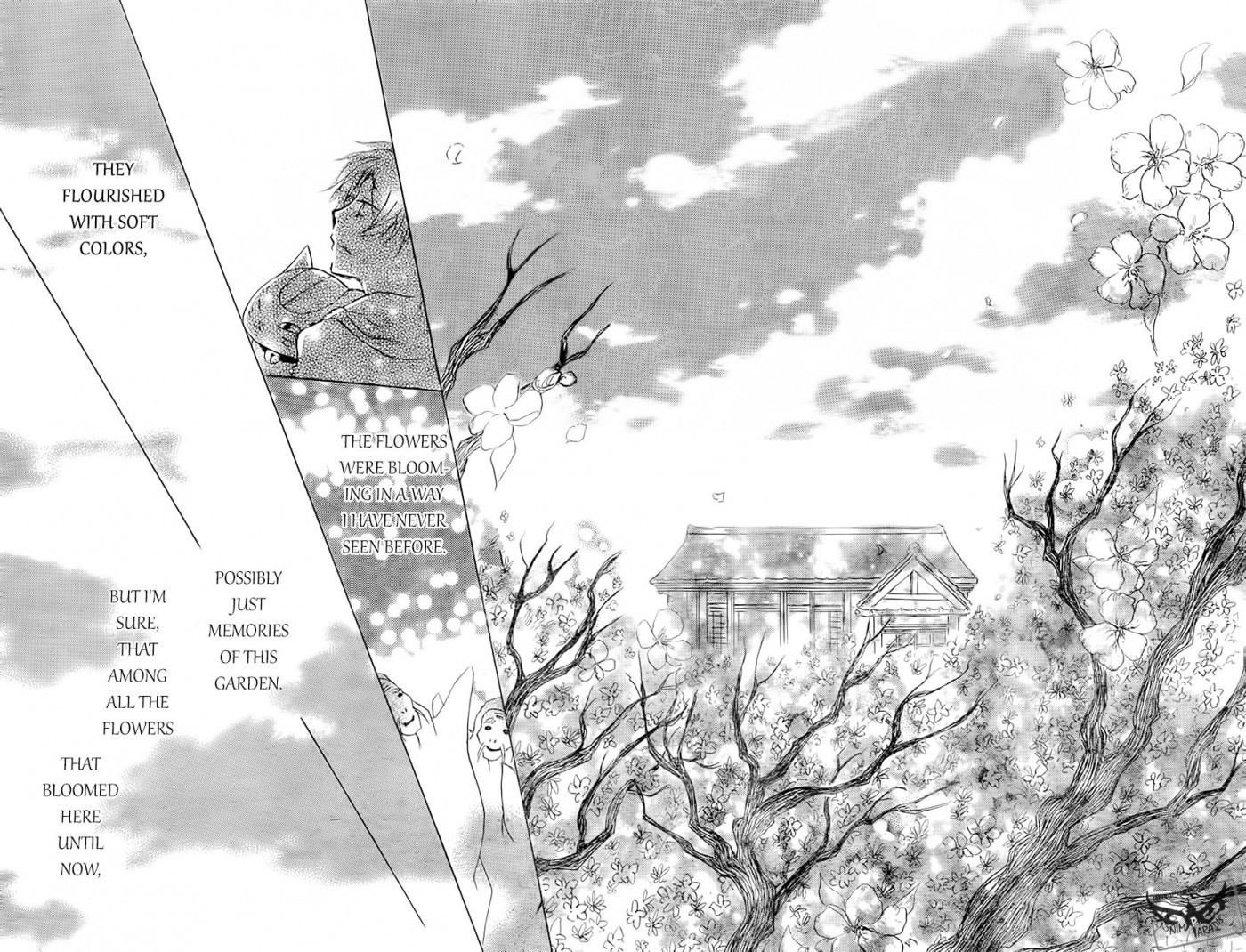 Natsume Yuujinchou chapter 81 page 37
