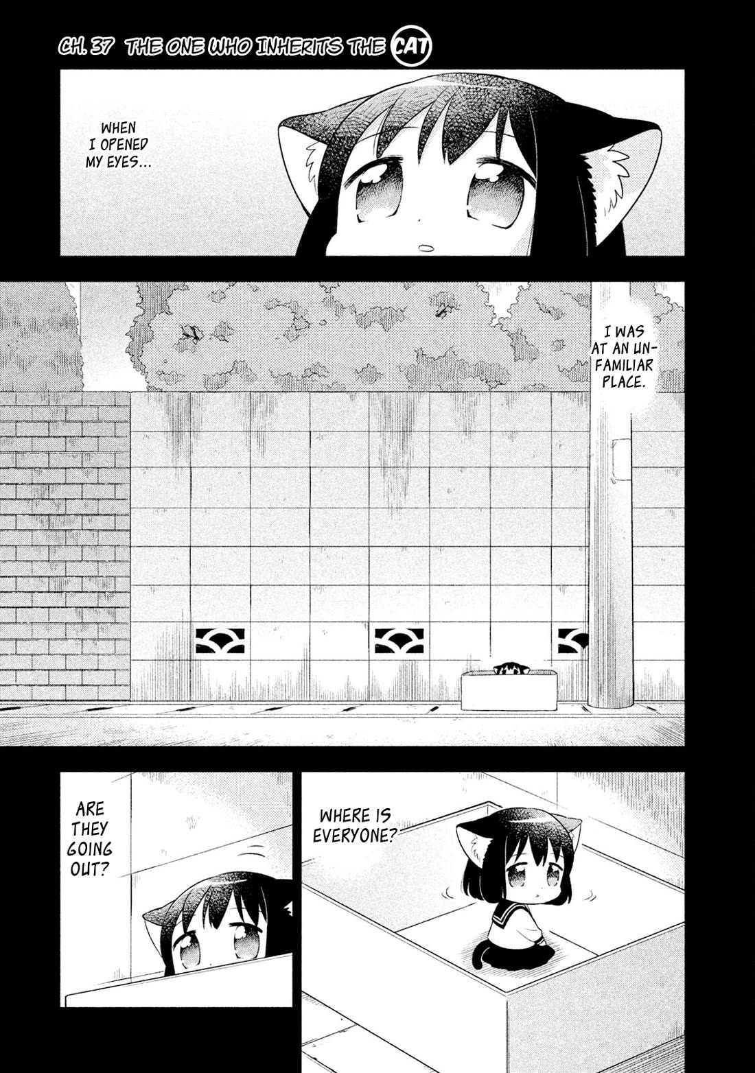 Neko no Kohana chapter 37 page 1