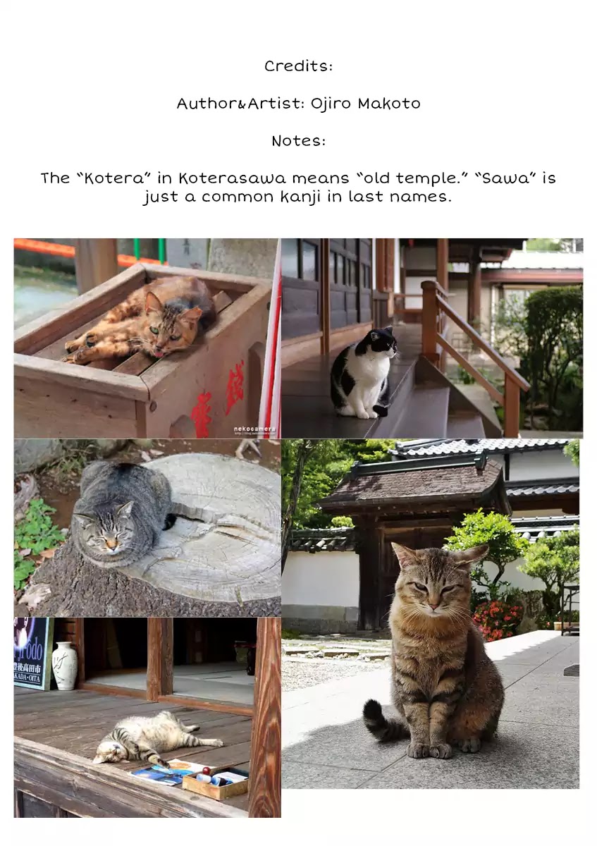 Neko no Otera no Chion-san chapter 1 page 37