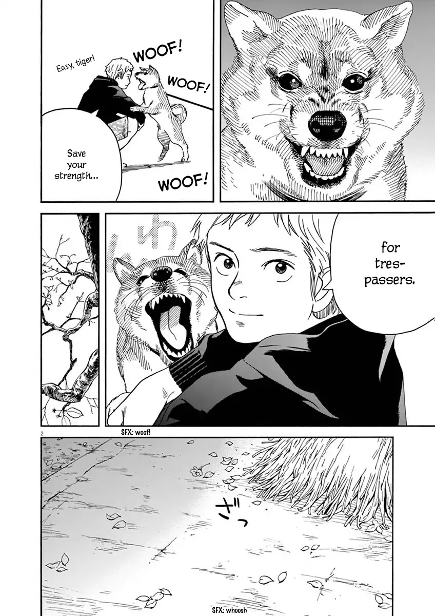 Neko no Otera no Chion-san chapter 13 page 2