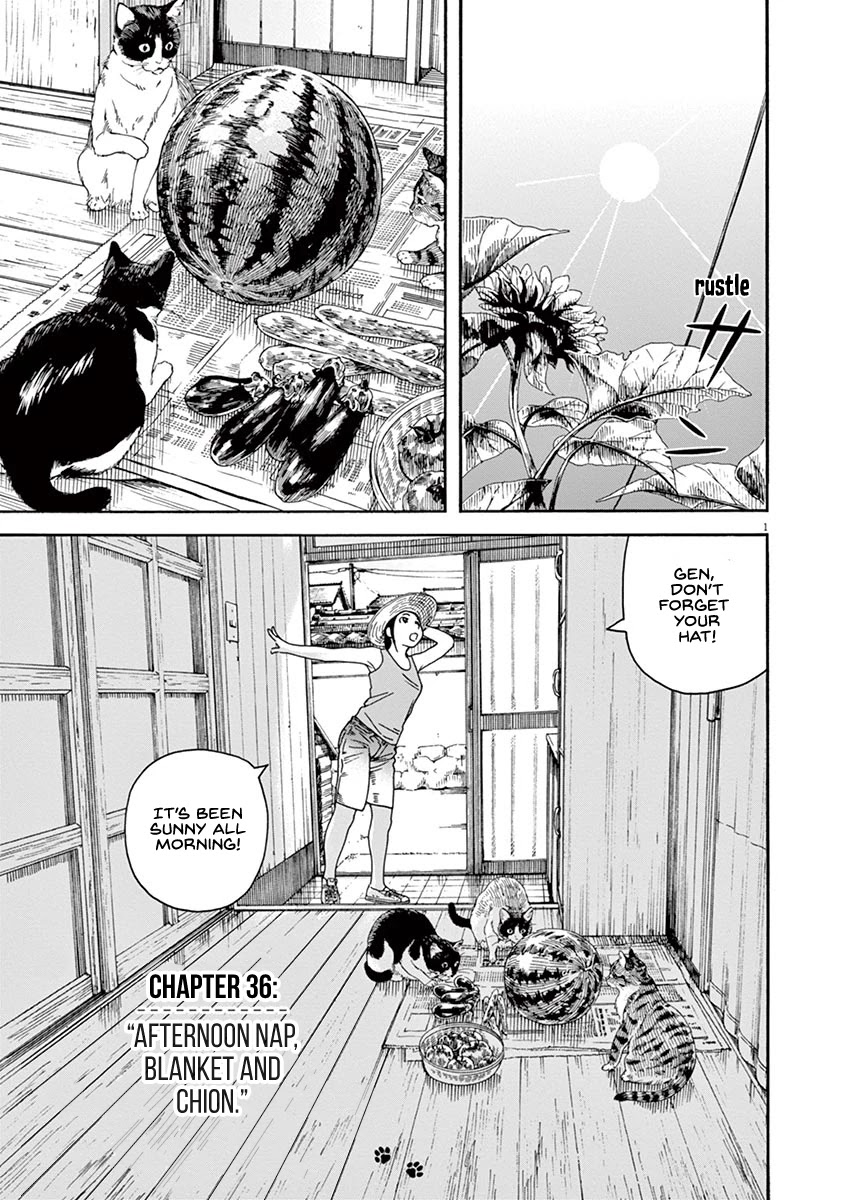 Neko no Otera no Chion-san chapter 36 page 5