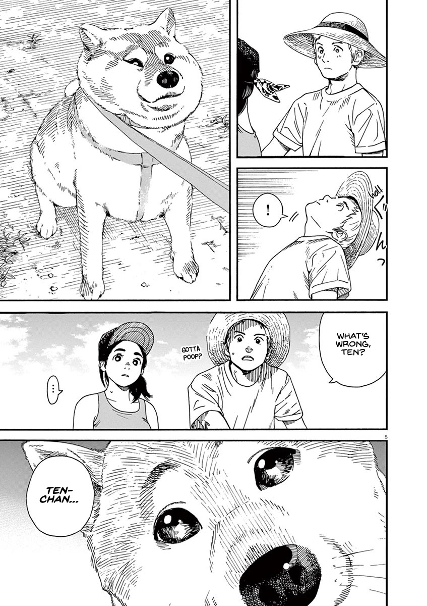 Neko no Otera no Chion-san chapter 36 page 8