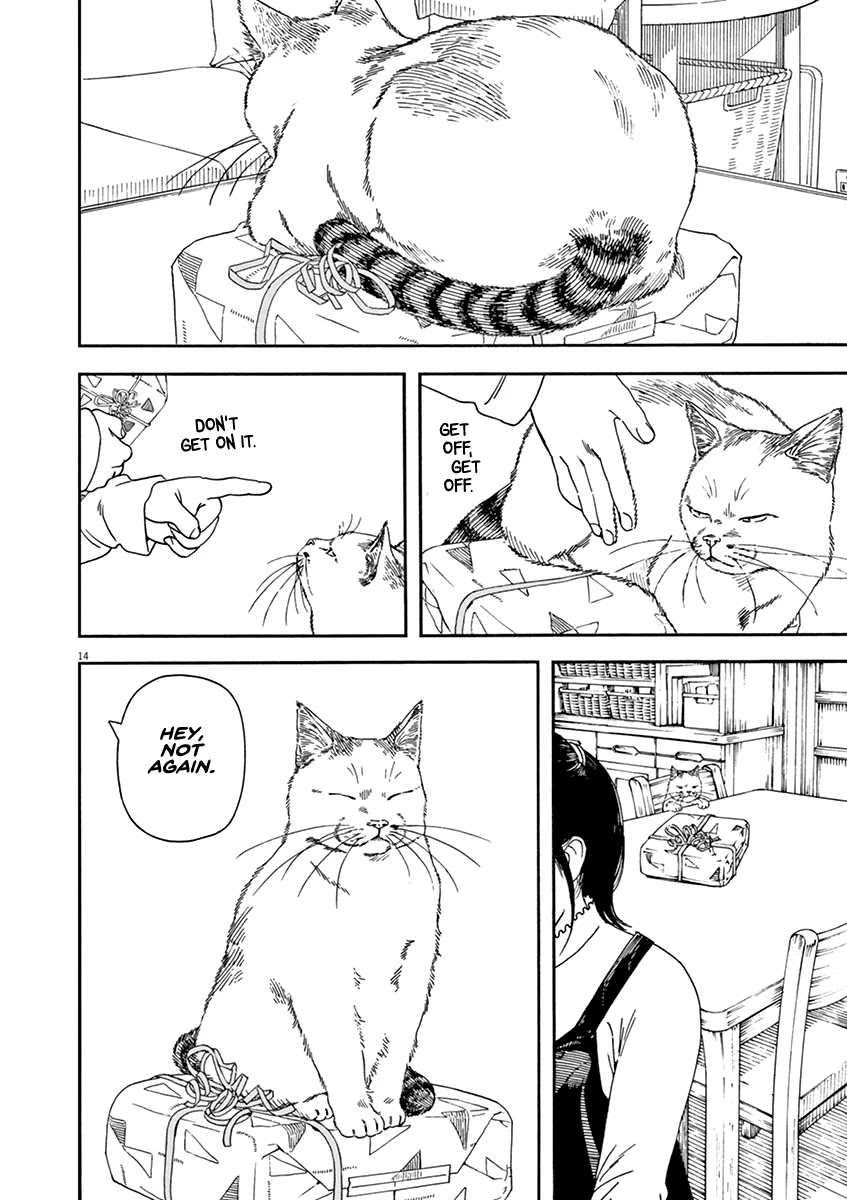 Neko no Otera no Chion-san chapter 71 page 17