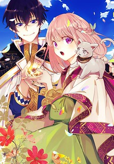 Cover of Nidoto Ie ni wa Kaerimasen!