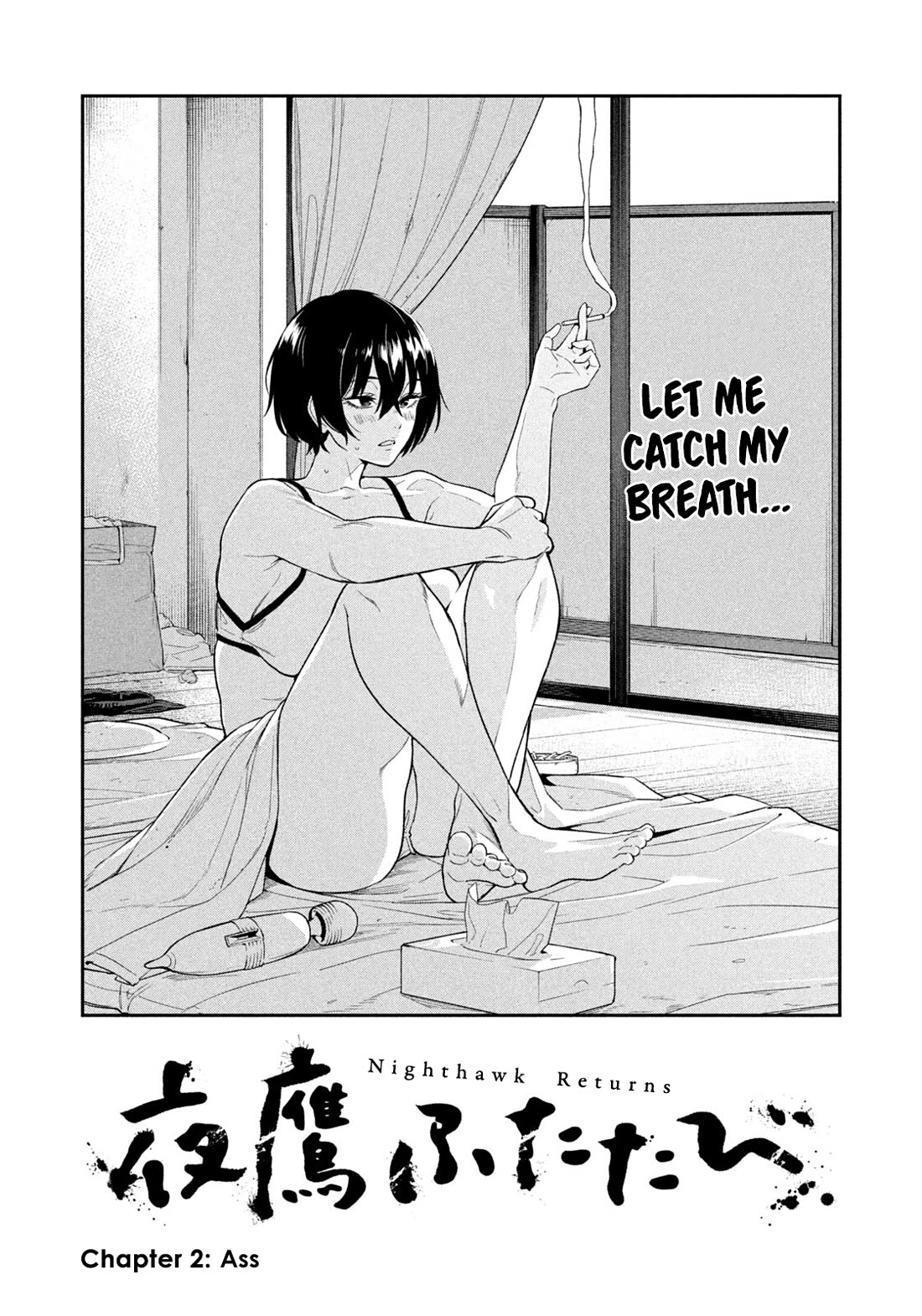 Nighthawk Returns chapter 2 page 2