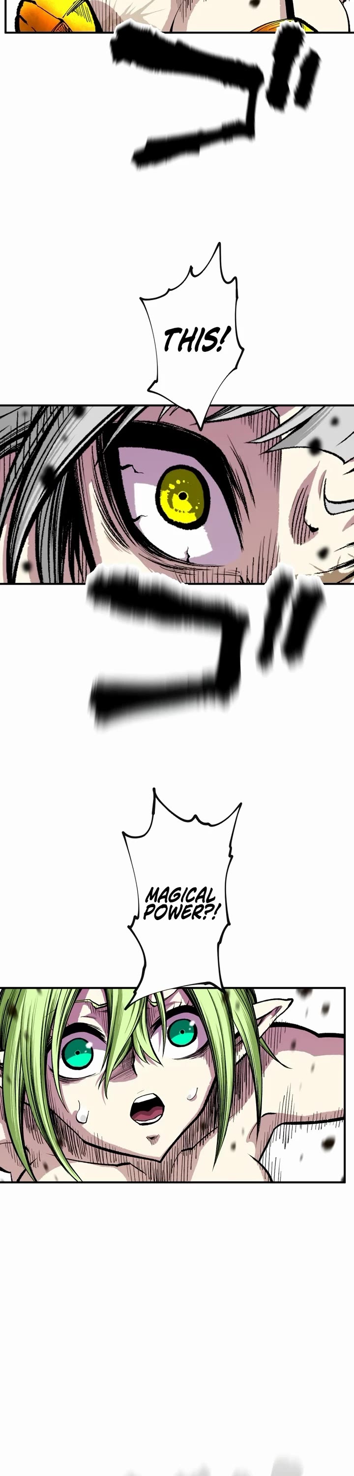 Ninja Reincarnation: Fuuma Kotarou's Quest to Reclaim His Humanity chapter 13 page 17