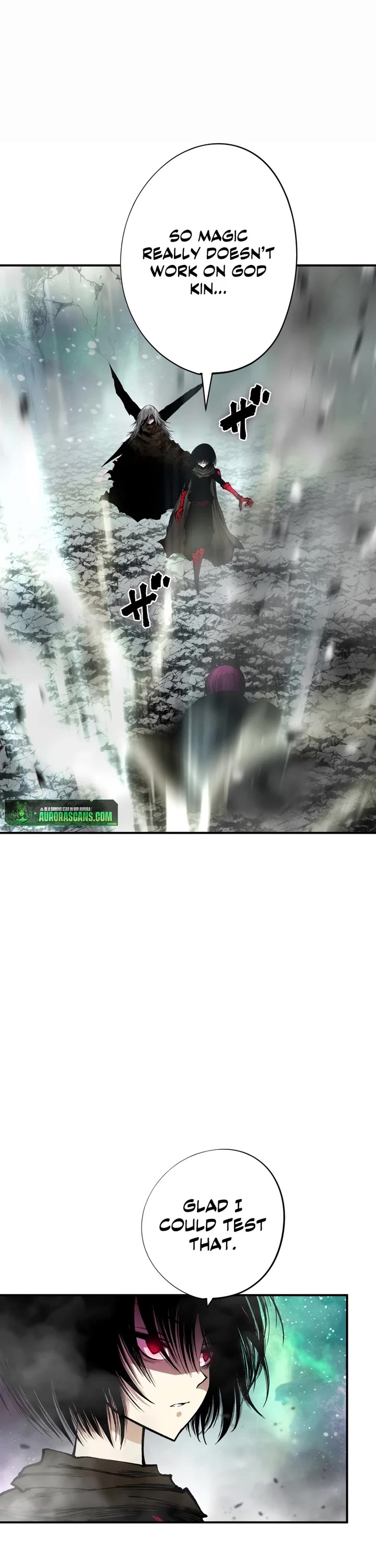 Ninja Reincarnation: Fuuma Kotarou's Quest to Reclaim His Humanity chapter 34 page 18