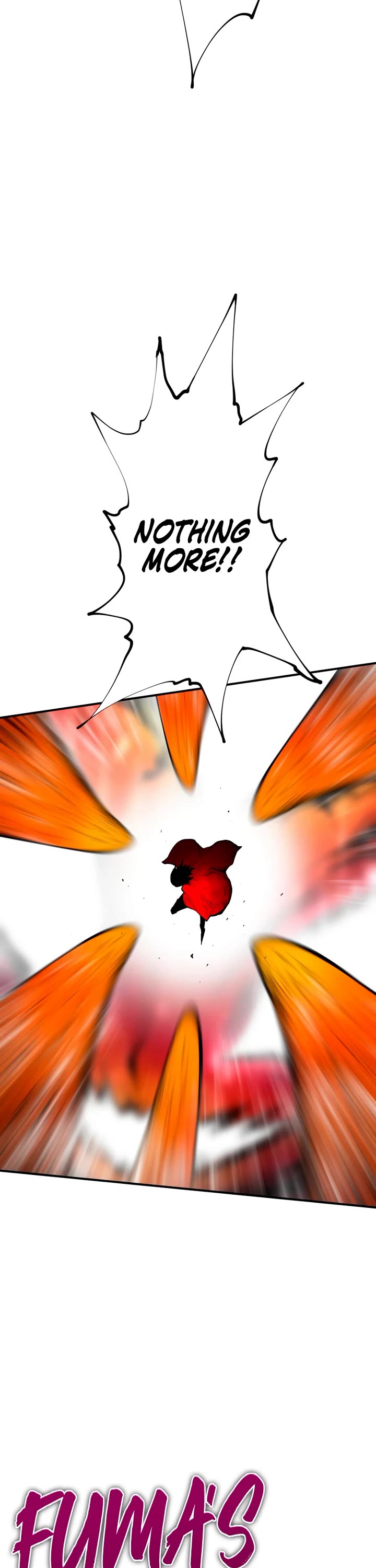 Ninja Reincarnation: Fuuma Kotarou's Quest to Reclaim His Humanity chapter 35 page 33