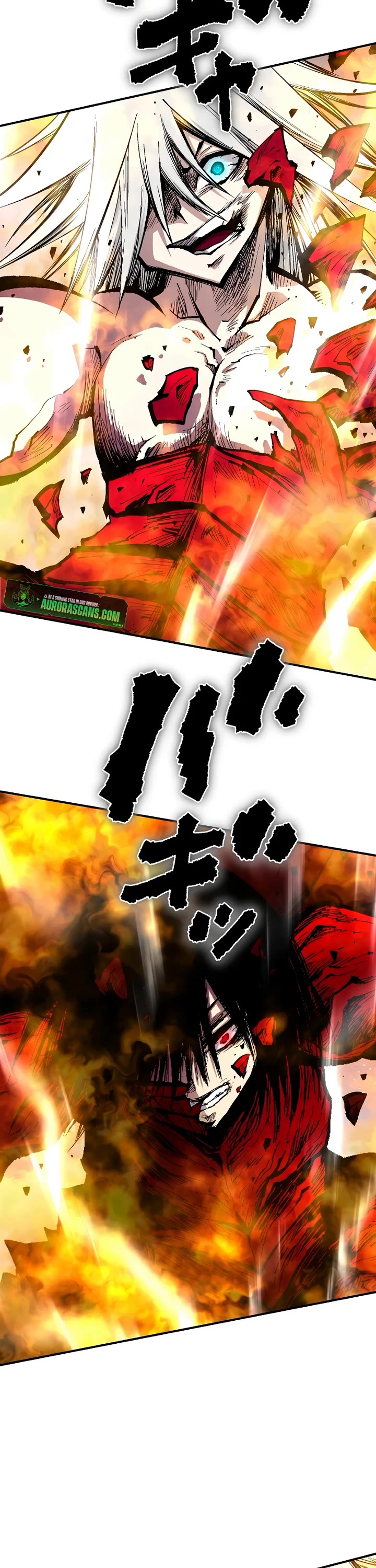 Ninja Reincarnation: Fuuma Kotarou's Quest to Reclaim His Humanity chapter 39 page 28