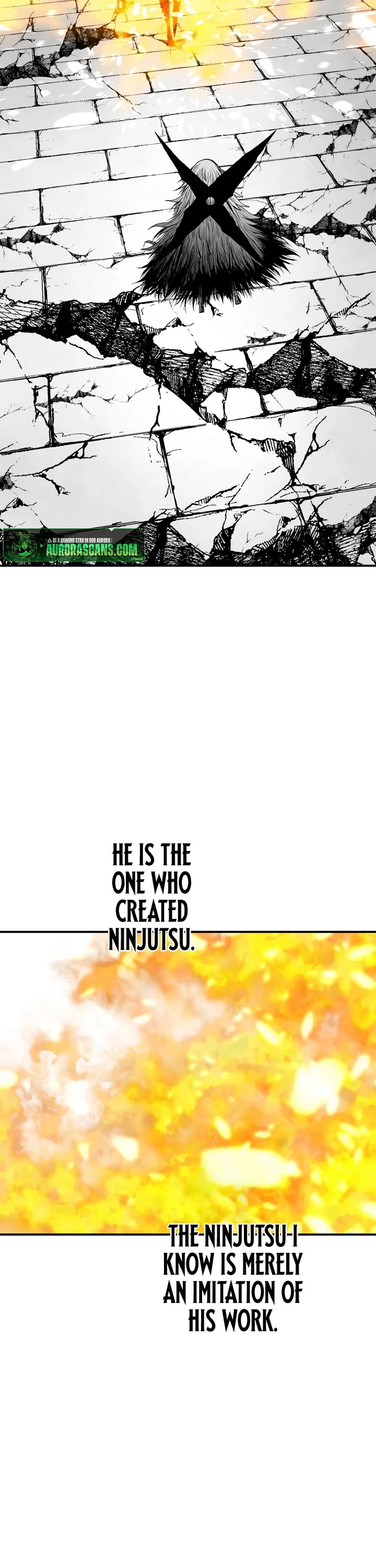 Ninja Reincarnation: Fuuma Kotarou's Quest to Reclaim His Humanity chapter 43 page 12