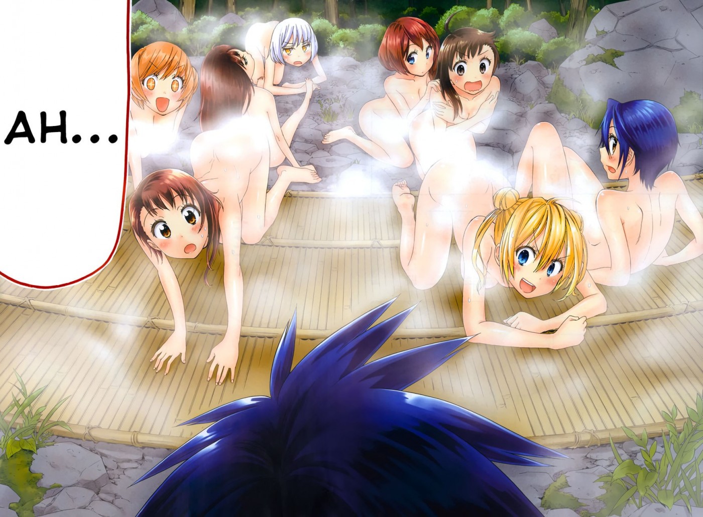 Nisekoi chapter 105.5 page 14