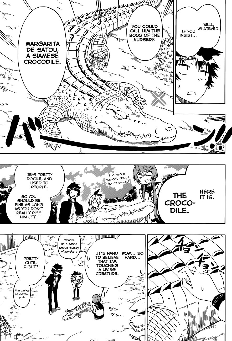 Nisekoi chapter 142 page 11