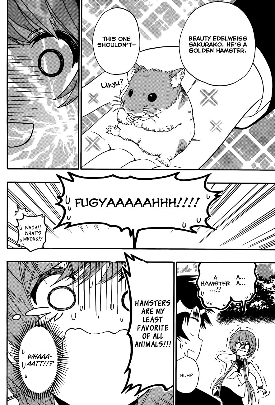 Nisekoi chapter 142 page 14