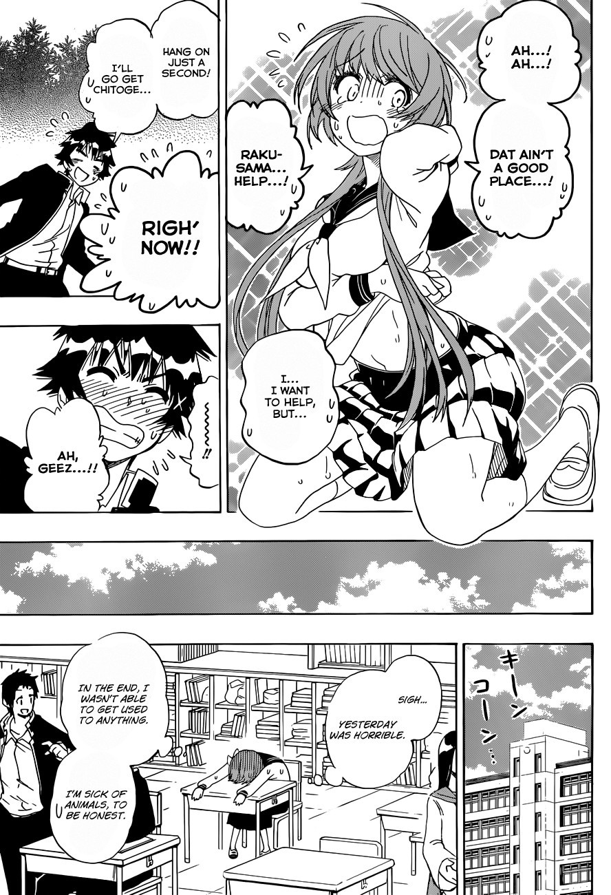 Nisekoi chapter 142 page 17