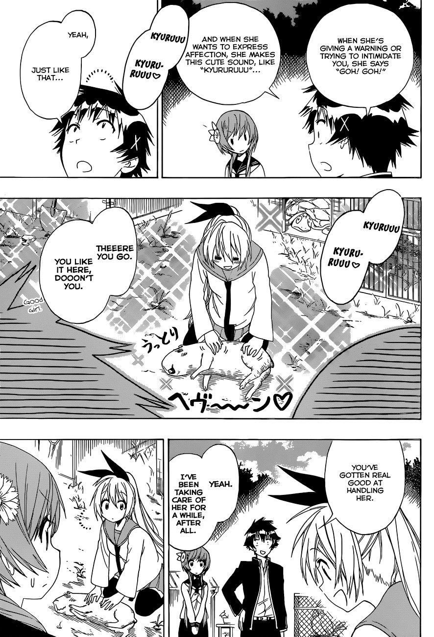 Nisekoi chapter 142 page 7