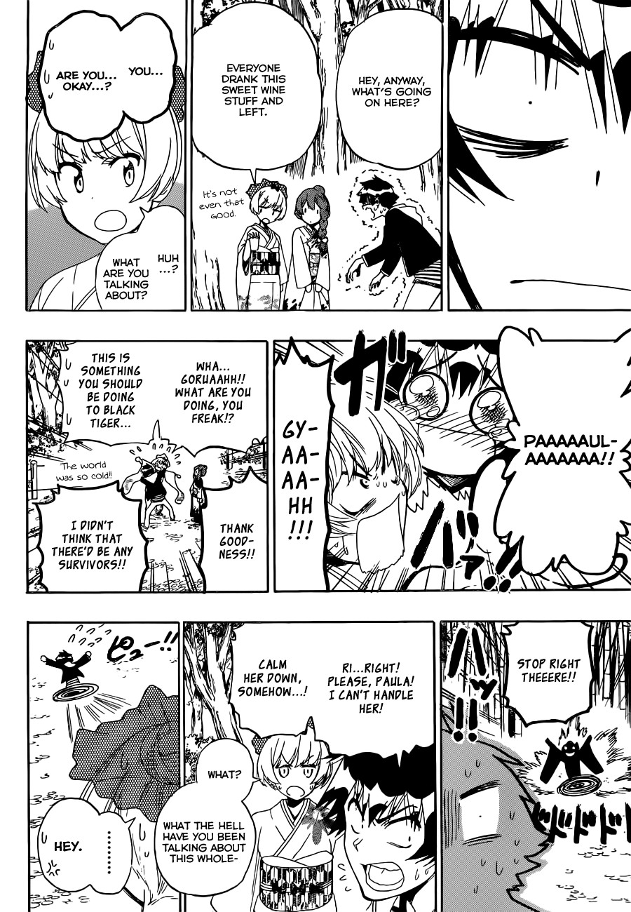 Nisekoi chapter 173 page 14