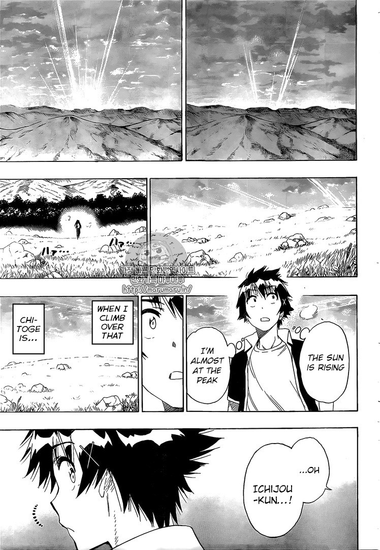 Nisekoi chapter 224 page 17