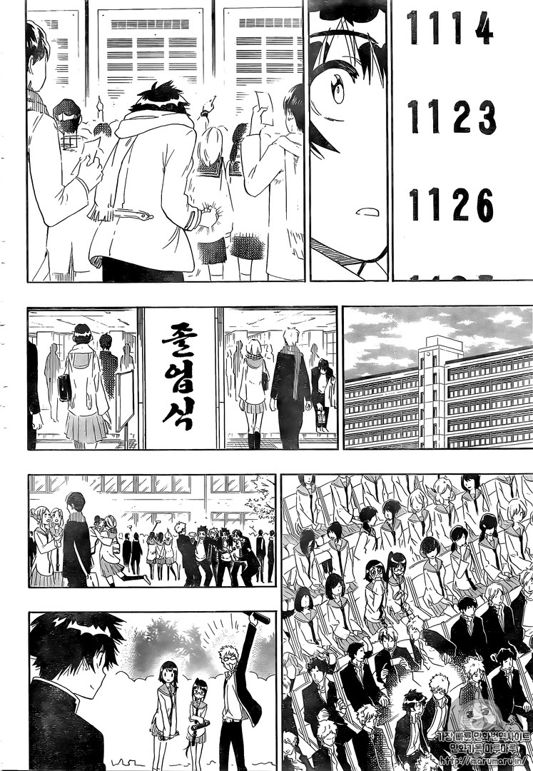 Nisekoi chapter 228 page 16